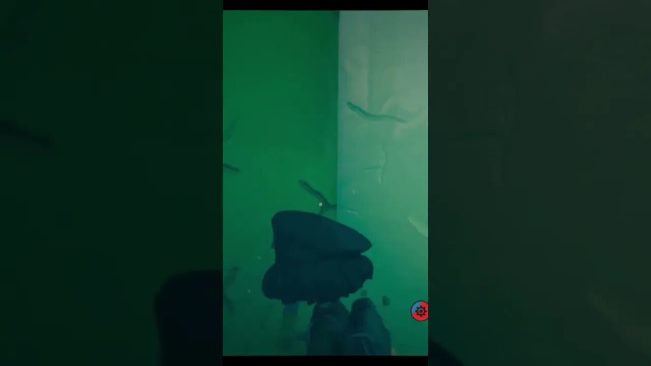 the tomorrow children caring two of the soul dolls at once