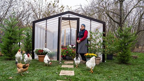 Building a New Greenhouse and Cooking Stuffed Onions