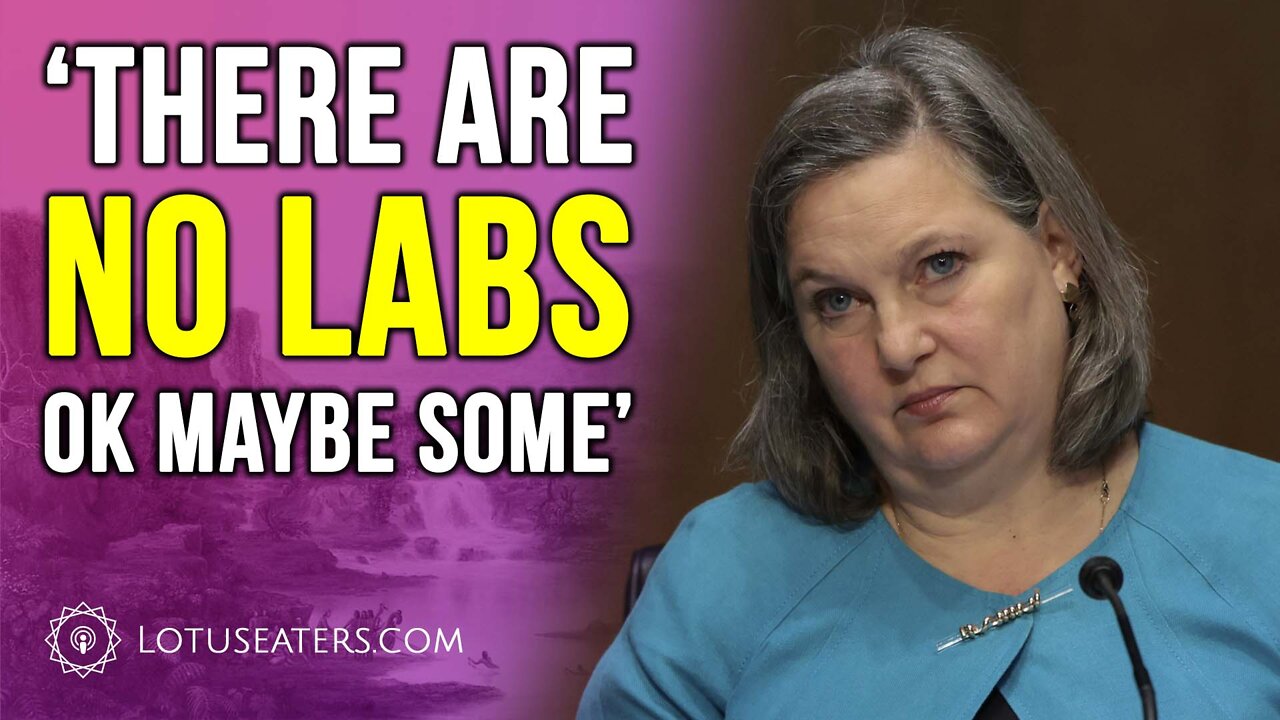 Good Luck Finding out the Truth on Ukrainian Biolabs