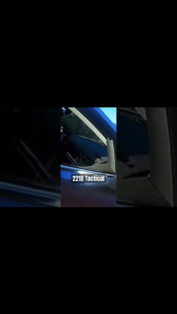 What was this dog thinking? #police #dogs #trafficstop