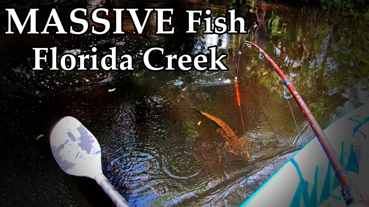 Big Catch Beneath a Bridge