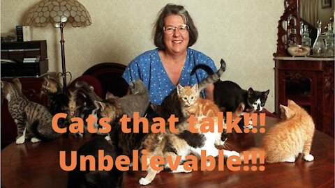 Cats that talk!!! Unbelievable