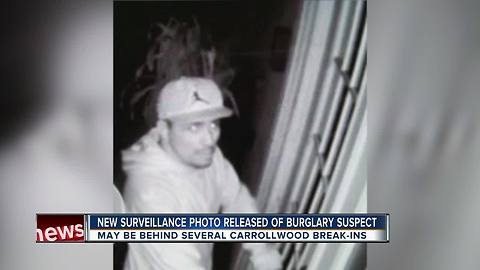 Detectives search for suspect in more than a dozen Carrollwood burglaries, photo released