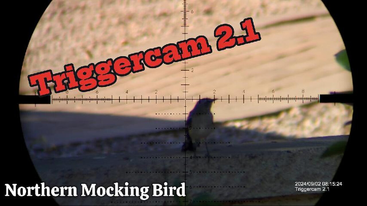 Unboxing The TriggerCam 2.1 | Field Test!