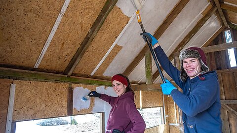 PAINTING the Bird Coop!?