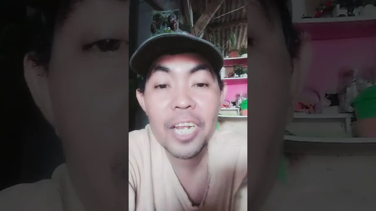 Sarapan telur goreng saja