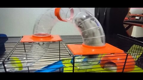 Foodie Beauty & Hubby Got Harry A Bigger House & Maybe Next Time Get A Bit Bigger It Is Way Better!!