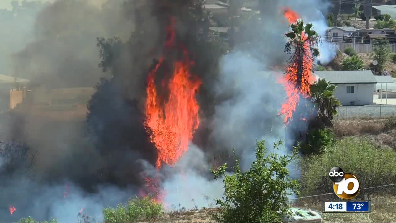 Crews stop brush fire that erupted near homes in Skyline