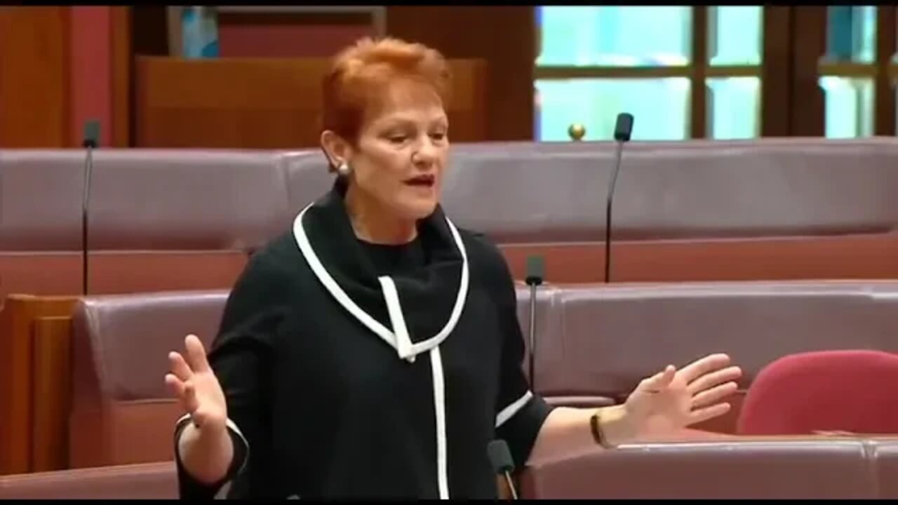 "Women are murdering men!" - Senator Pauline Hansons EPIC Domestic Violence speech