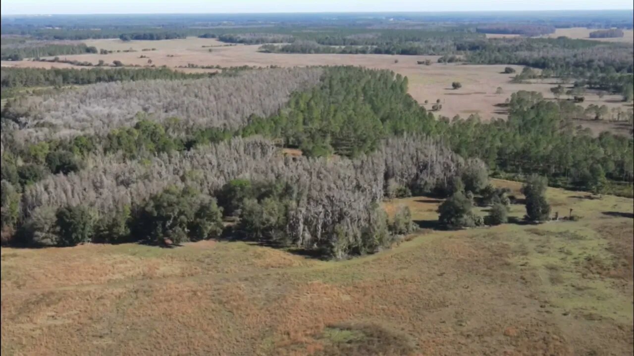 17301 Morris Bridge Rd, Thonotosassa, FL 33592