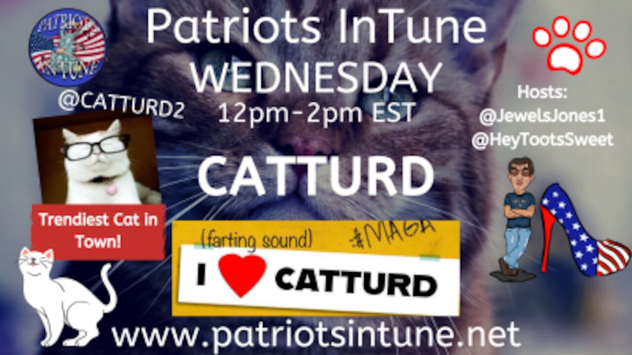 PATRIOTS IN TUNE #281: Catturd️/@Catturd2 ~ D.C. Bound at the March For Trump Rally 1/6/2021