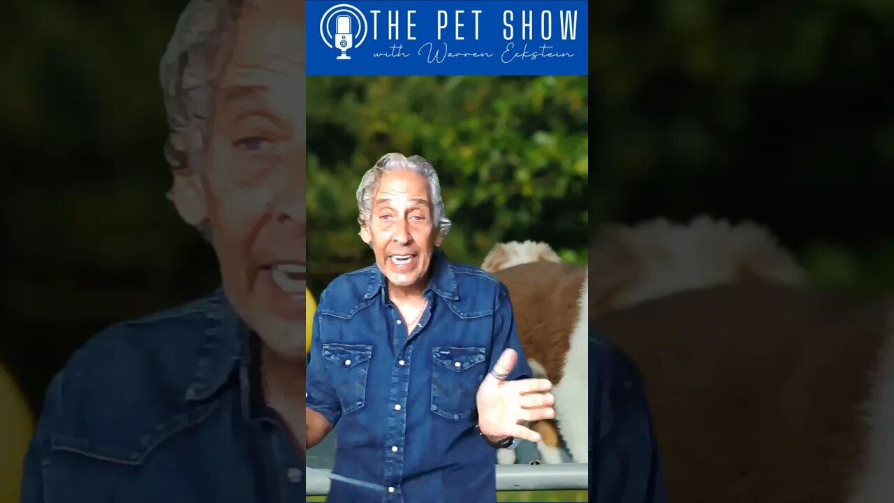 The Words You Can't Ever Use on The Pet Show