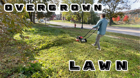 Transforming an Overgrown Lawn | Fall Cleanup & Lawn Care for a Rental Property