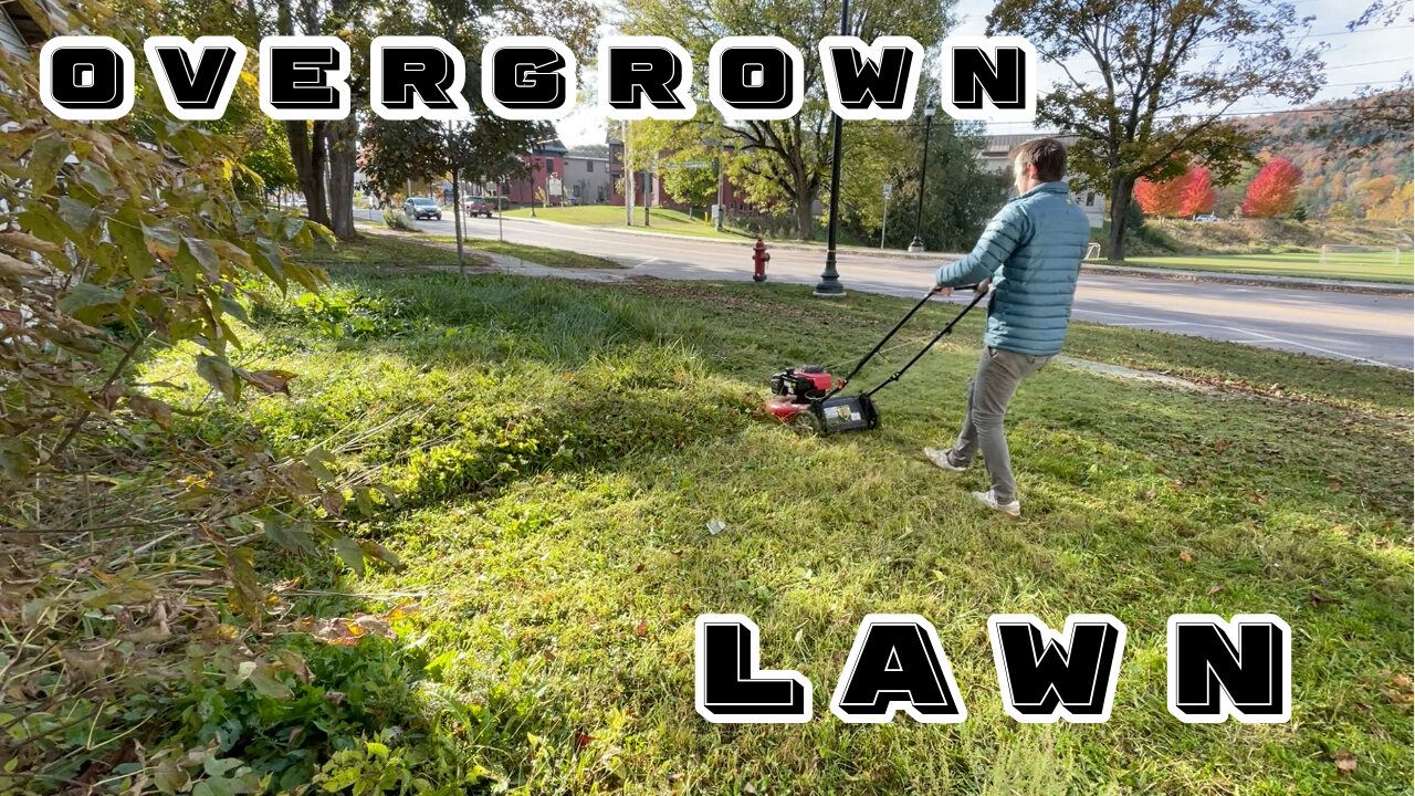 Transforming an Overgrown Lawn | Fall Cleanup & Lawn Care for a Rental Property
