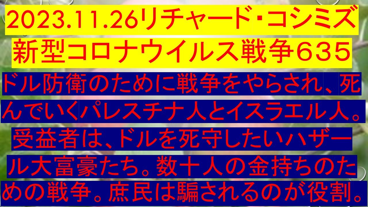 2023.11.26リチャード・コシミズ 新型コロナウイルス戦争６３５