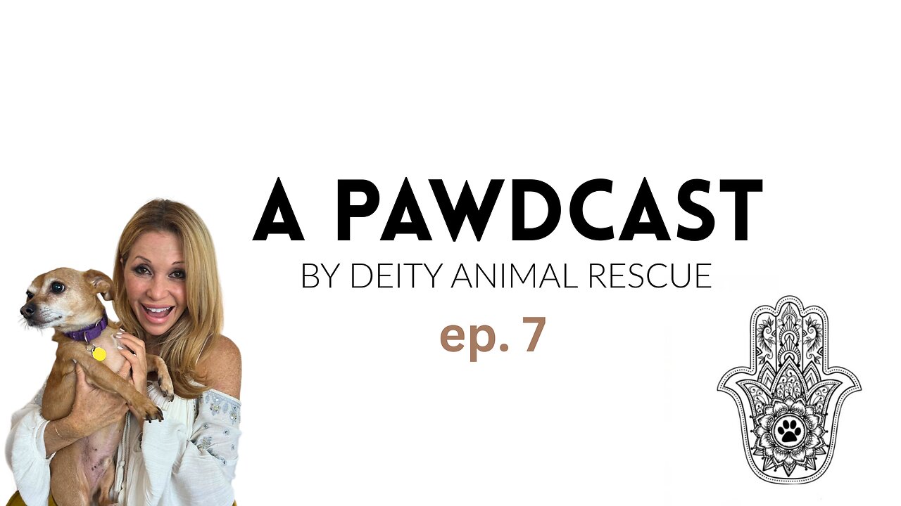 A Pawdcast Ep. 7 I EG Daily