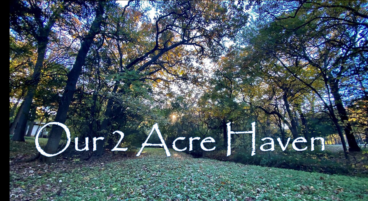 Our 2 Acre Haven - First Video