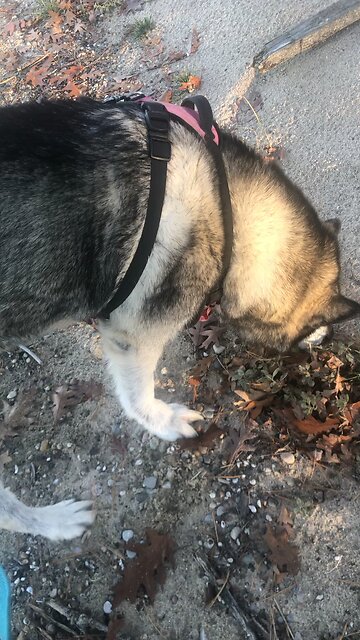 Thursday Nov 7, pray Christ, Jesus will soften their heart ￼