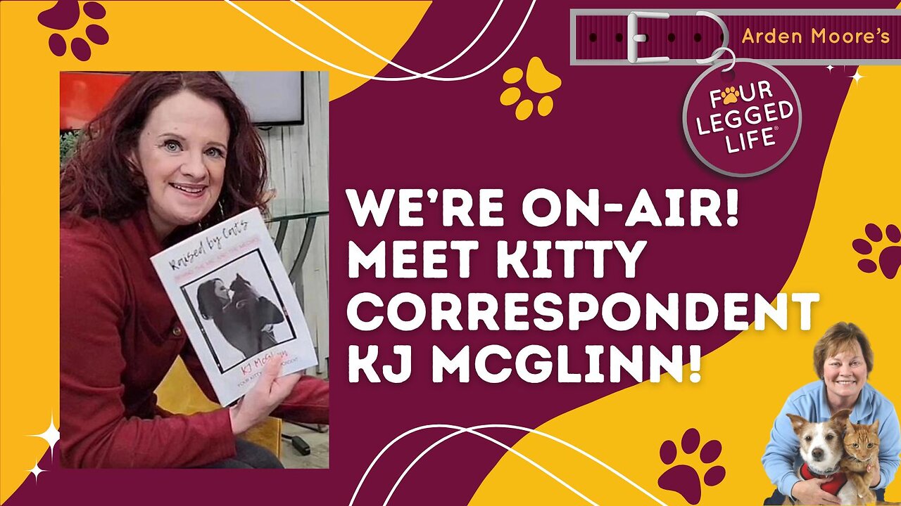 Meet KJ McGlinn!