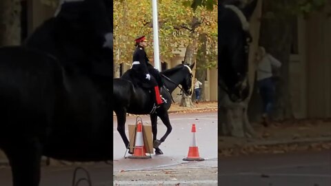 Female colonel on the mall #buckinghampalace