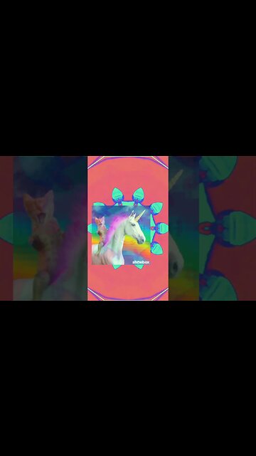 Cat riding a Unicorn 🦄 #ohhighbud #sum41