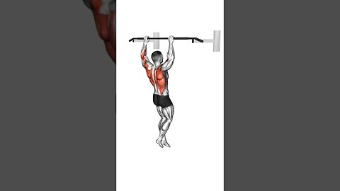 BACK TRAINING IN DIFFERENT WAYS(Barbell/Dumbbells/Body weight/Cable)