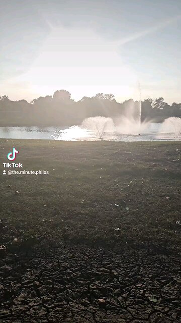 My Peaceful Place - The Universe is Effing With People