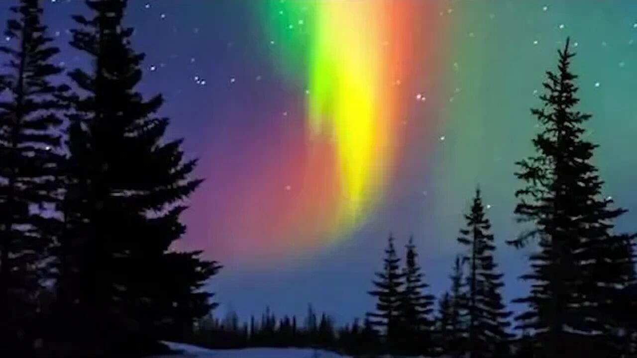 Oceans of Wonder Exploring the Vastness of Marine Marvels