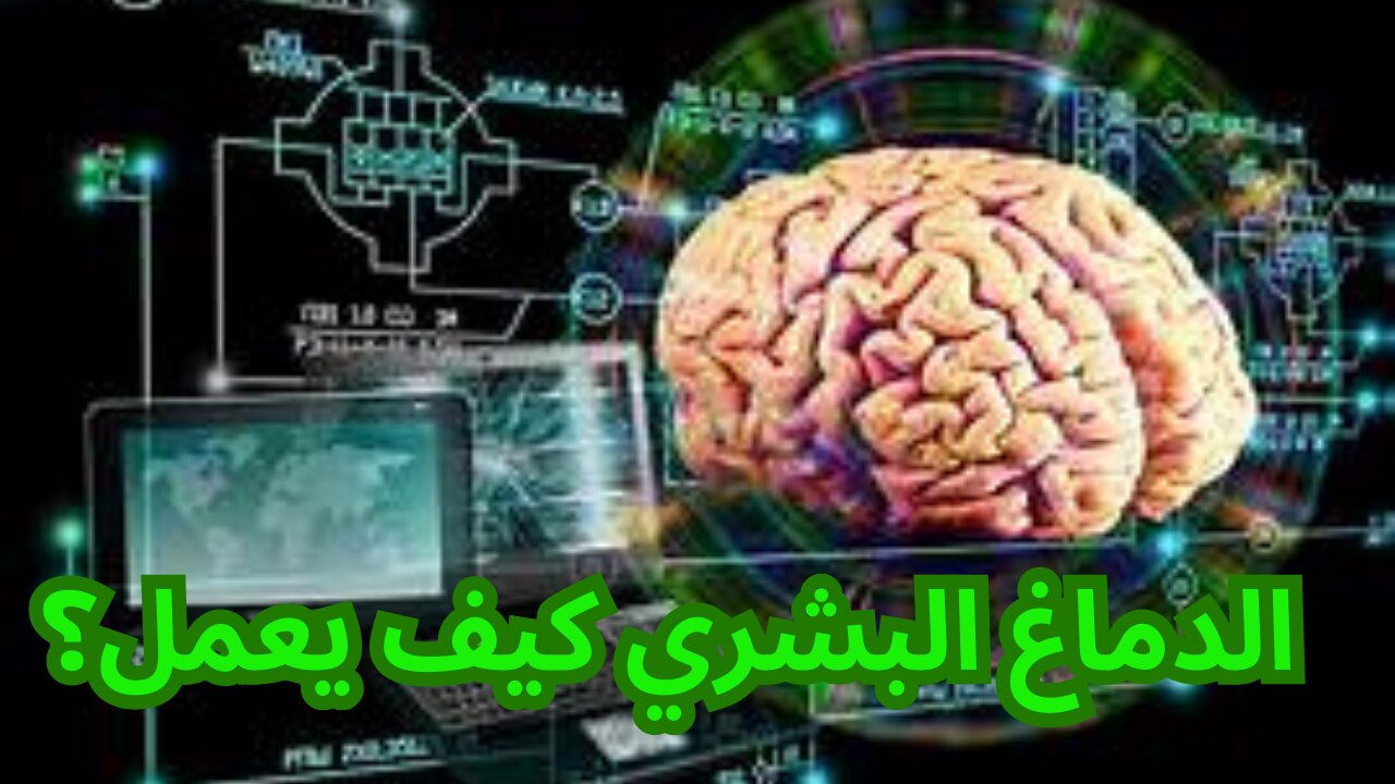 الدماغ البشري كيف يعمل؟ # تقوية قدرات العقل البشري#