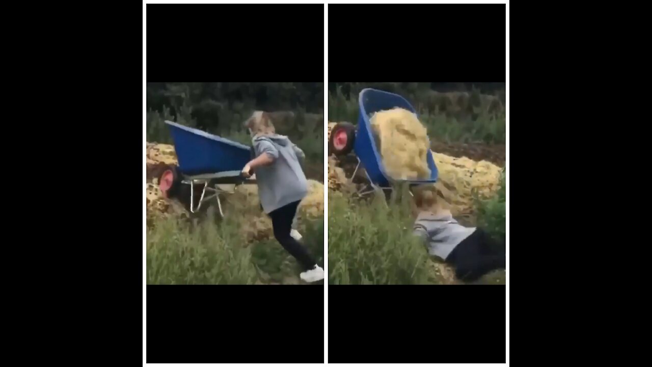 Girl falls down when she going to feed animal