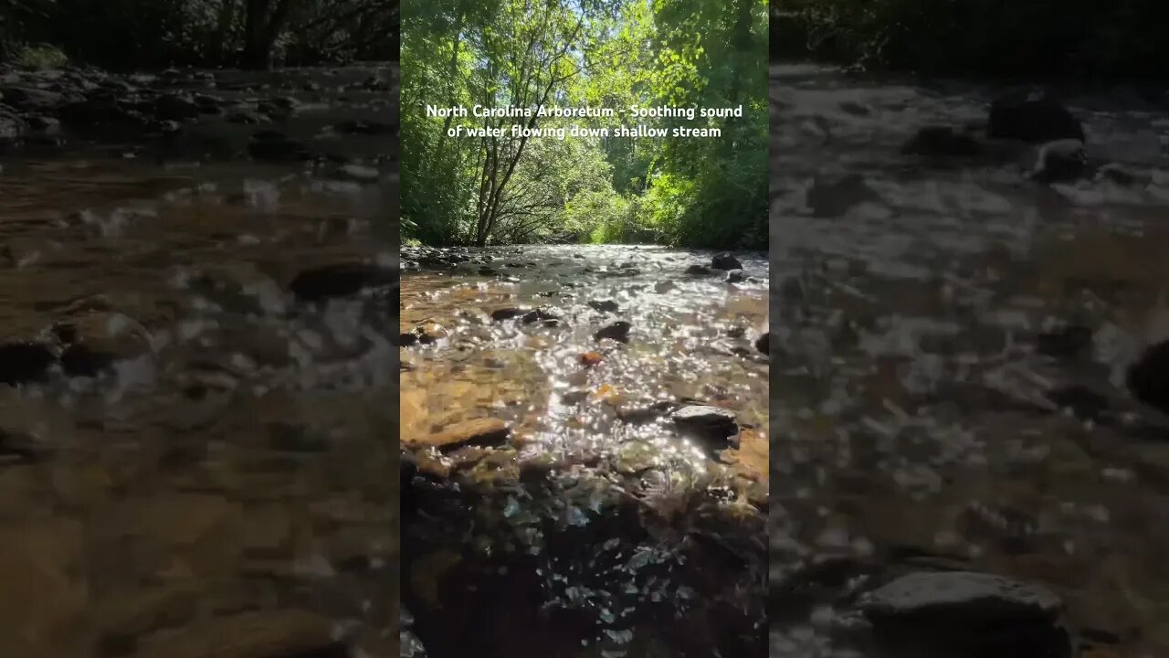 North Carolina Arboretum - Soothing sound of water flowing down shallow stream (natural)