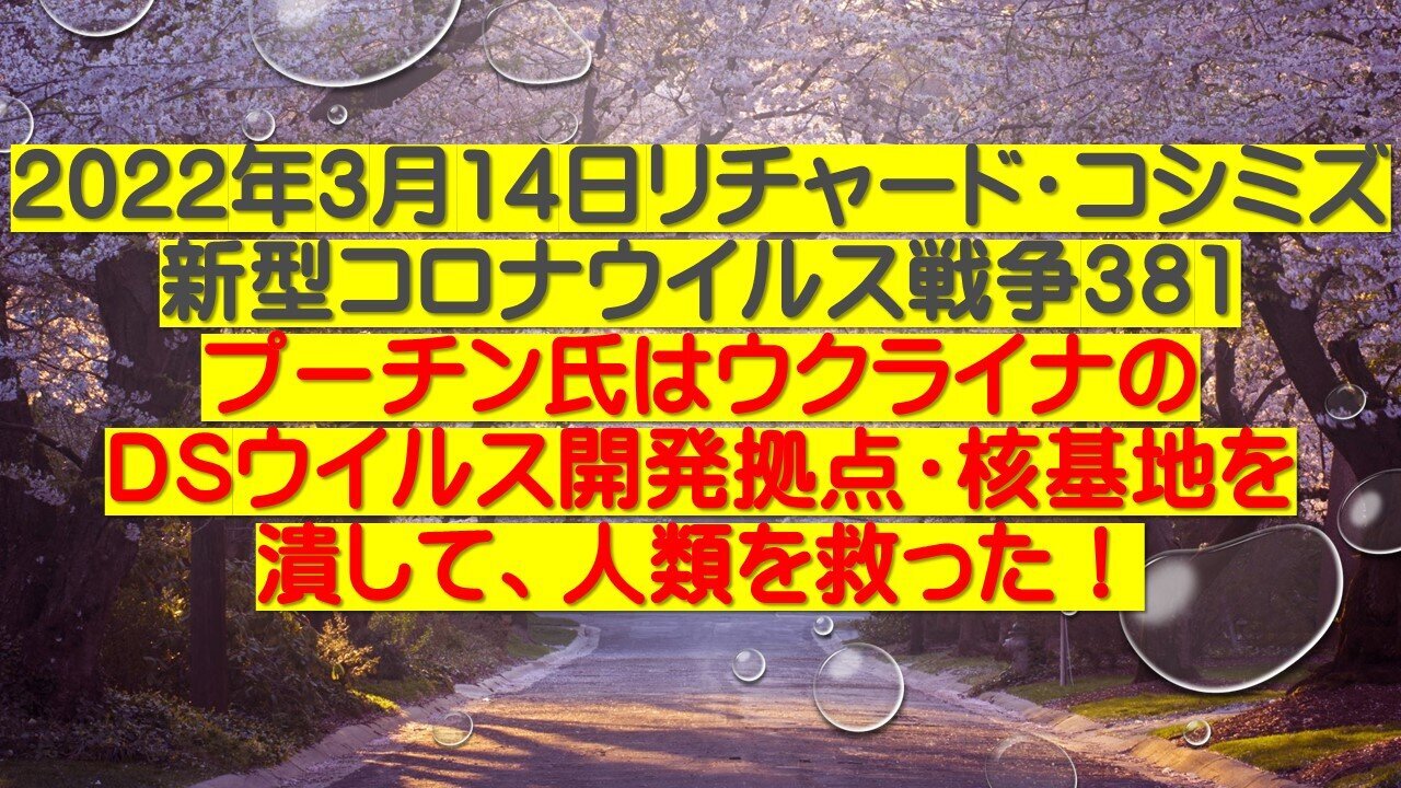 2022.03.14 リチャード・コシミズ新型コロナウイルス戦争381