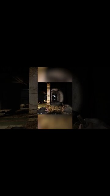 gotta find shelter #stalkergame #survivalgame #tacticalshooter