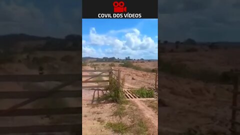 dividindo a herança