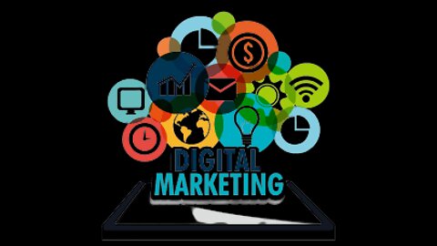 Digital Marketing Company in India