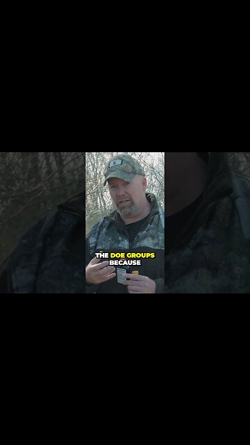 Try using a mock scrape in the summer #deer #hunting #deerhunting #archery #shorts