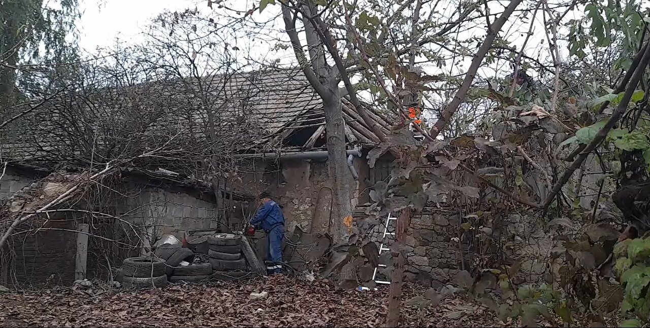 sebesta sándor és kőpájer tibor liberális(mindentszabad) bűnöző bandája!!!