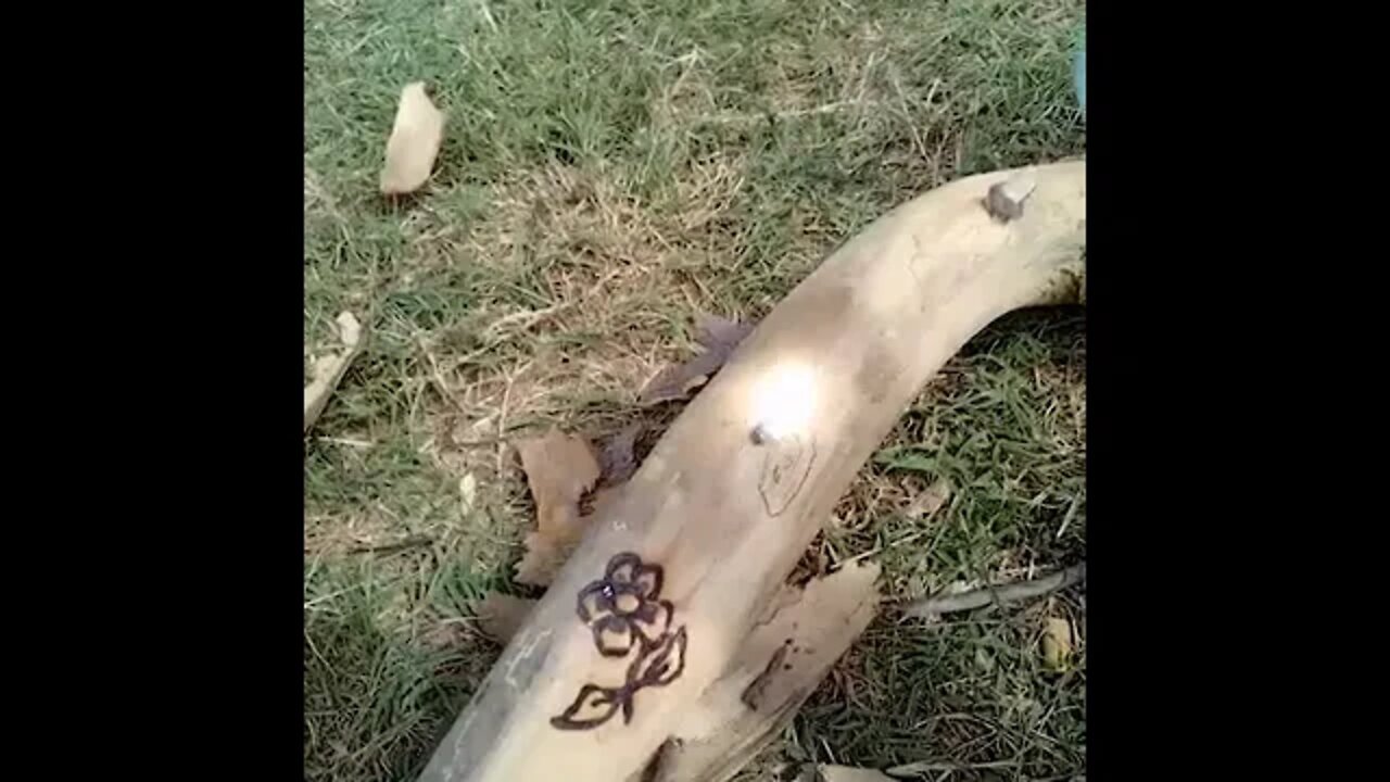 Cute Solar Pyrography in One Minute