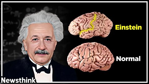 How Einstein’s SMALL Brain Made Him Smarter