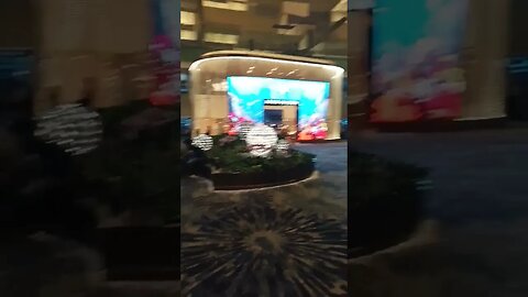 #etsukojunio #etsukofans #fransiscaofficial #teamfransisca #沉连清 #fransisca #fransiscametaworld