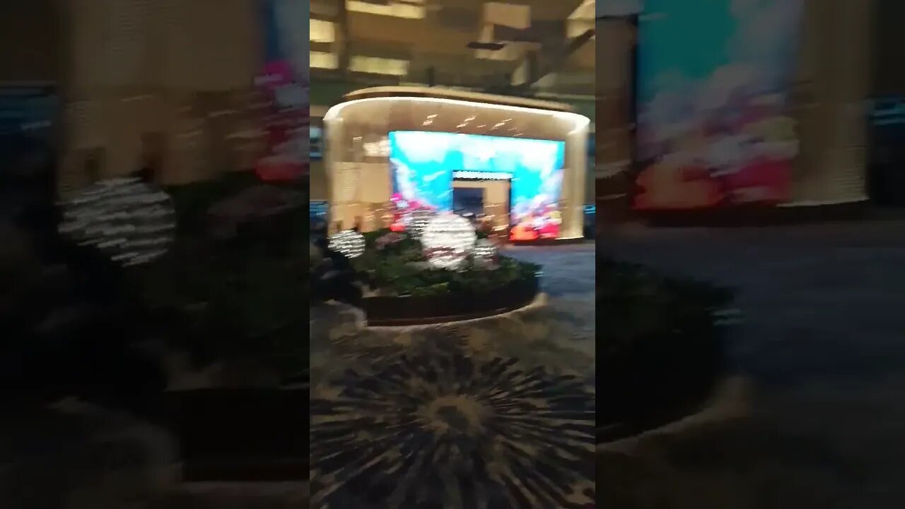 #etsukojunio #etsukofans #fransiscaofficial #teamfransisca #沉连清 #fransisca #fransiscametaworld