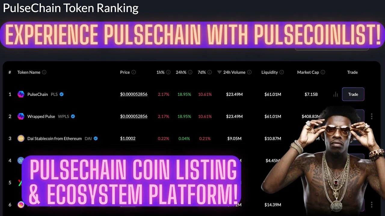 Experience Pulsechain With PulseCoinList! Pulsechain Coin Listing & Ecosystem Platform!