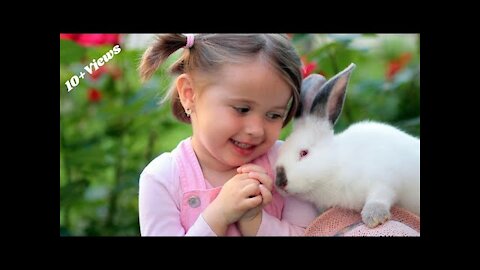 Funny and Cute Baby Bunny Rabbit Videos - Baby Animal Video Compilation (2021) for Animal lovers,