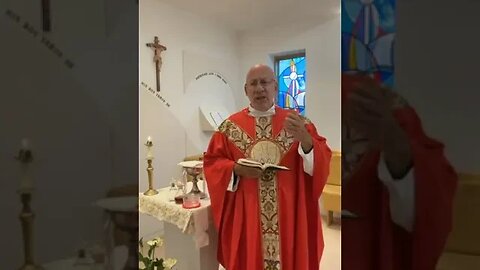 "Knowing Good Fruit" - Fr. Imbarrato's Homily - Wed, June 28th, 2023