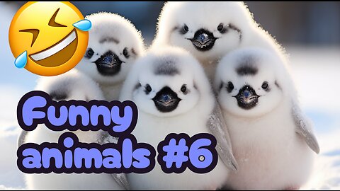 Funny Animals Compilation #6 - #Pets&Giggles #pets #funny
