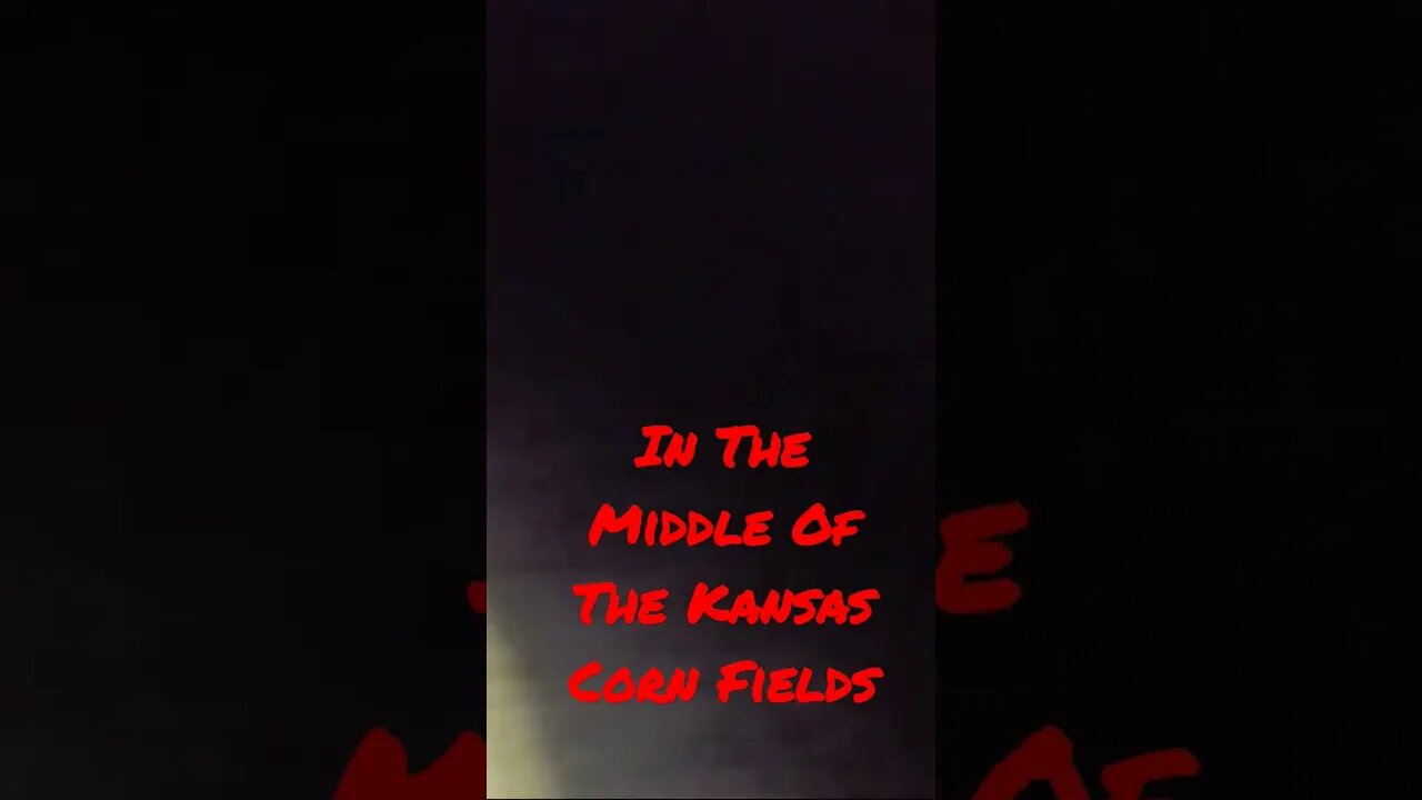 Graveyard Shenanigans After Dark 🕷️😱😳😨🕷️