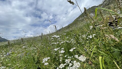 Shounter Valley