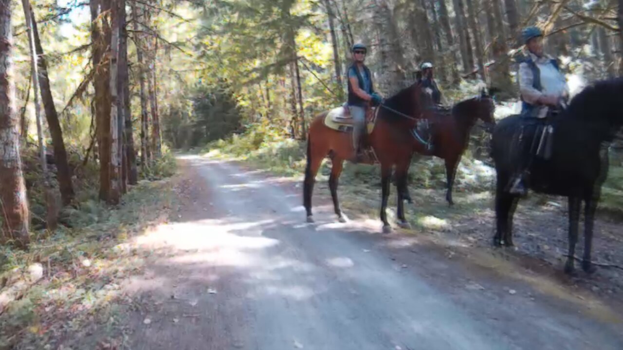 Cowichan Valley Trail Vancouver Island