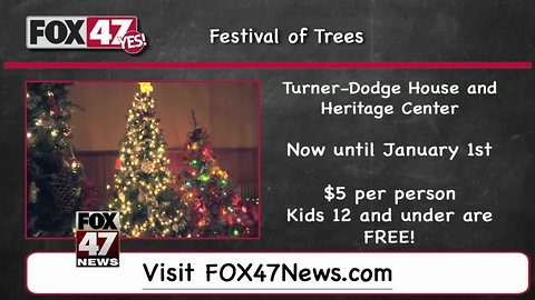 Around Town Kids 12/28/18: Festival of Trees