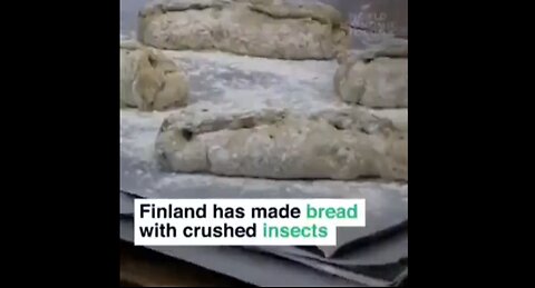 Finland Made Bread With Insects